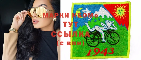 шишки Белая Холуница