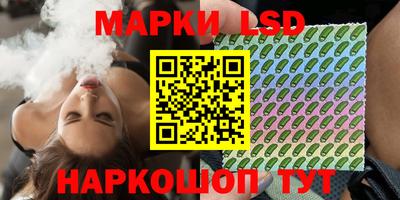 стаф Берёзовский