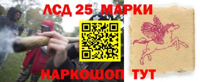 стаф Берёзовский