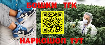 крисы Абакан