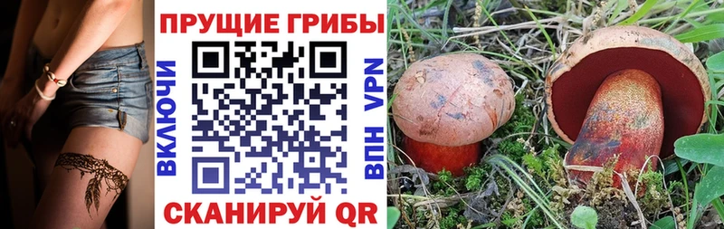 Псилоцибиновые грибы Cubensis  купить наркоту  OMG tor  Ртищево 