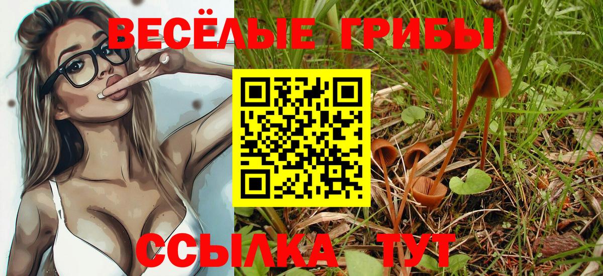 Псилоцибиновые грибы Psilocybine cubensis  хочу   Ртищево  Вход с VPN 